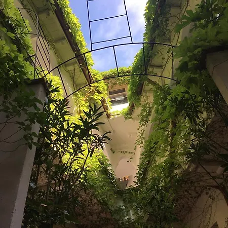 Casa Ad-ella Πανσιόν Eforie Nord